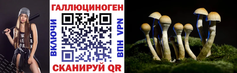 Псилоцибиновые грибы Psilocybe Кашин