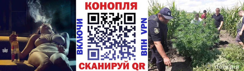 Бошки Шишки OG Kush  Кашин 
